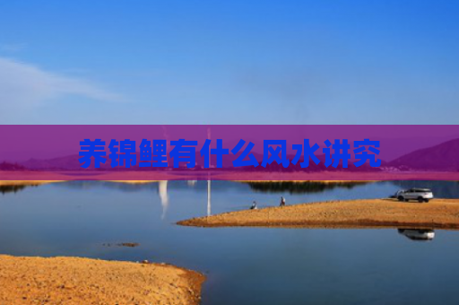 养锦鲤有什么风水讲究
