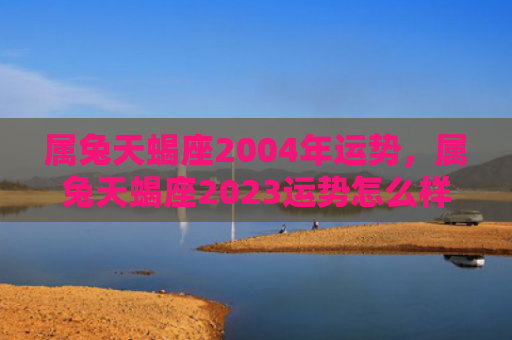属兔天蝎座2004年运势，属兔天蝎座2023运势怎么样，2023年兔天蝎座的运势如何