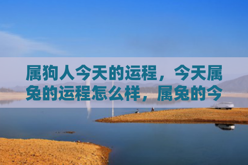 属狗人今天的运程，今天属兔的运程怎么样，属兔的今天运势如何