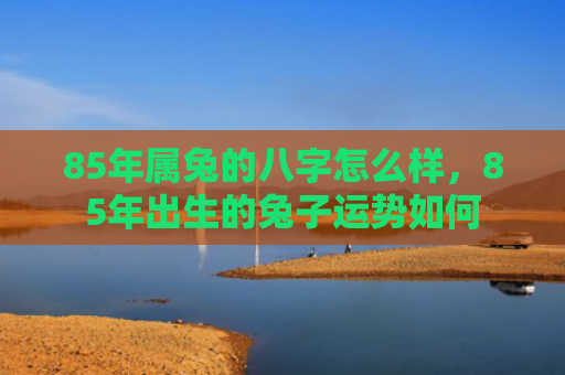 85年属兔的八字怎么样，85年出生的兔子运势如何