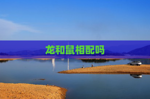 龙和鼠相配吗