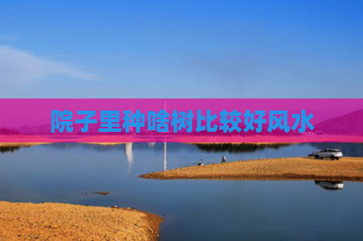 院子里种啥树比较好风水