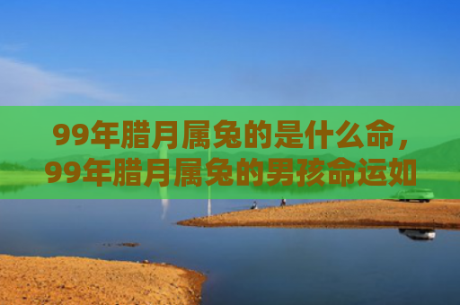 99年腊月属兔的是什么命，99年腊月属兔的男孩命运如何，腊月属兔男孩的命运分析
