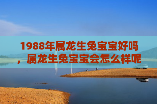 1988年属龙生兔宝宝好吗，属龙生兔宝宝会怎么样呢，属龙生兔宝宝的特点