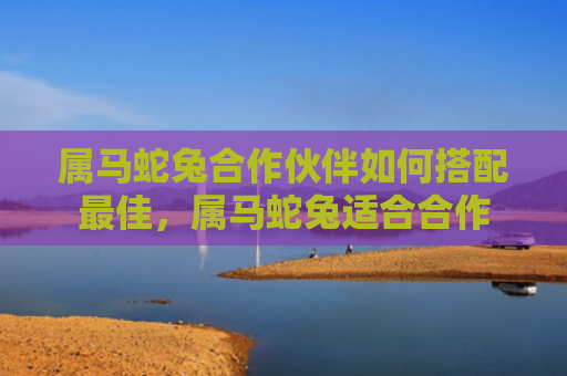 属马蛇兔合作伙伴如何搭配最佳，属马蛇兔适合合作