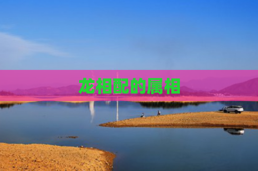 龙相配的属相