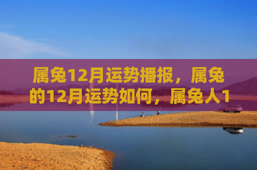 属兔12月运势播报，属兔的12月运势如何，属兔人12月运势分析