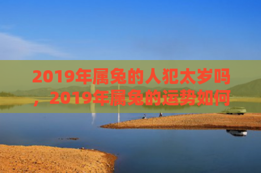 2019年属兔的人犯太岁吗，2019年属兔的运势如何，属兔的人在2019年的运势分析