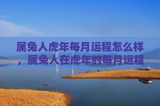 属兔人虎年每月运程怎么样，属兔人在虎年的每月运程如何