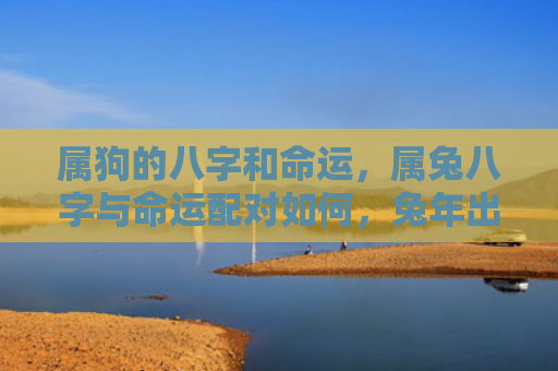 属狗的八字和命运，属兔八字与命运配对如何，兔年出生的人与何种命运相拥而行