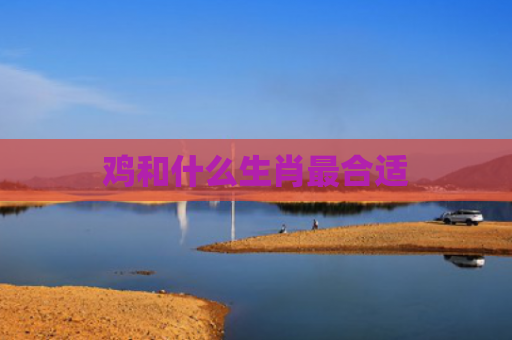 鸡和什么生肖最合适