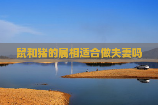 鼠和猪的属相适合做夫妻吗