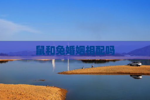 鼠和兔婚姻相配吗