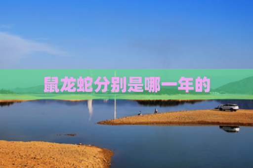 鼠龙蛇分别是哪一年的