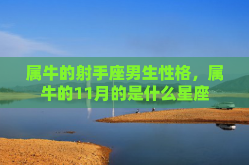 属牛的射手座男生性格，属牛的11月的是什么星座