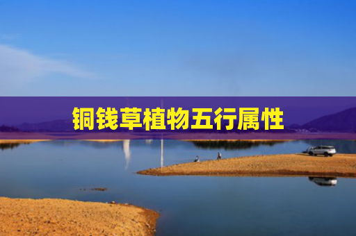 铜钱草植物五行属性