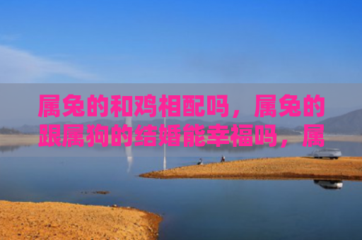 属兔的和鸡相配吗，属兔的跟属狗的结婚能幸福吗，属兔的和属狗的婚姻是否适合