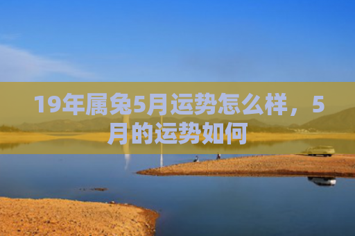 19年属兔5月运势怎么样，5月的运势如何