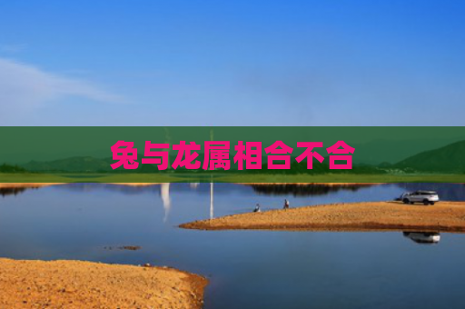 兔与龙属相合不合