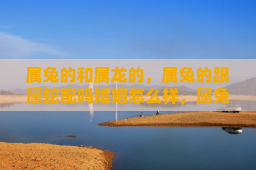 属兔的和属龙的，属兔的跟属蛇配吗婚姻怎么样，属兔和属蛇适合结婚吗