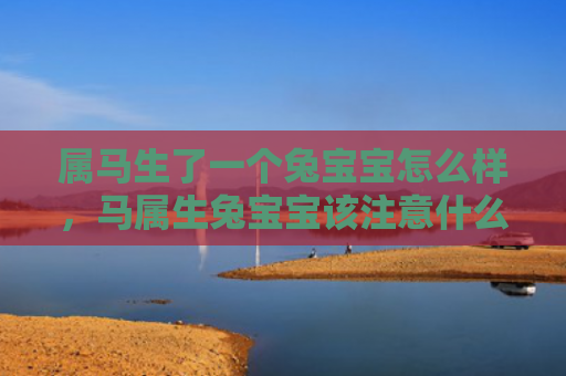 属马生了一个兔宝宝怎么样，马属生兔宝宝该注意什么