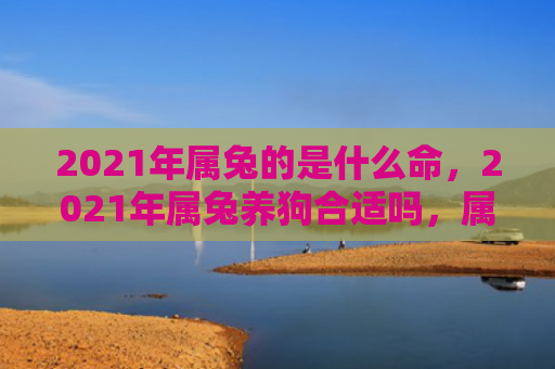 2021年属兔的是什么命，2021年属兔养狗合适吗，属兔人养狗有什么需要注意的