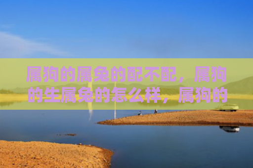 属狗的属兔的配不配，属狗的生属兔的怎么样，属狗的与属兔的姻缘如何