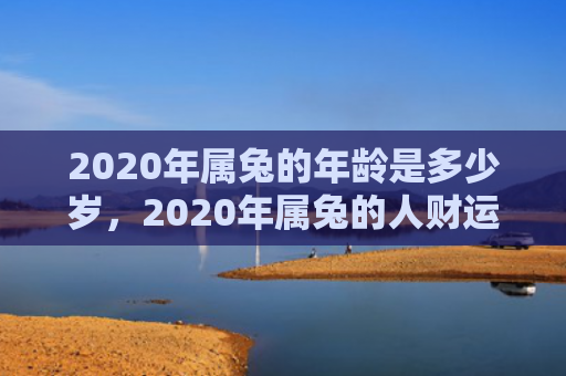 2020年属兔的年龄是多少岁，2020年属兔的人财运怎么样呀，属兔人2020年的财运分析