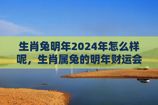 生肖兔明年2024年怎么样呢，生肖属兔的明年财运会是怎样的呢，生肖属兔的明年财运值得期待