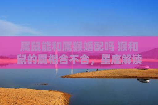 属鼠能和属猴婚配吗 猴和鼠的属相合不合，星座解读落实