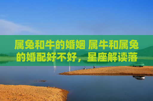 属兔和牛的婚姻 属牛和属兔的婚配好不好，星座解读落实