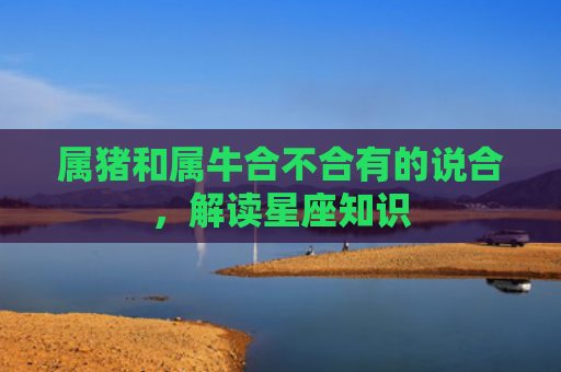 属猪和属牛合不合有的说合，解读星座知识