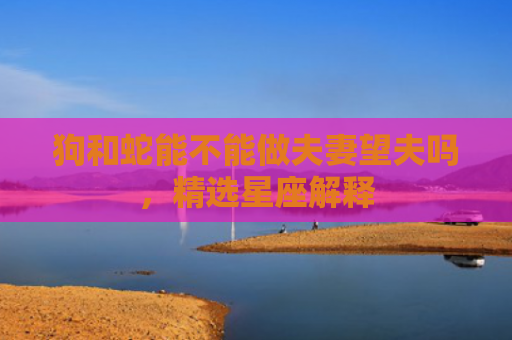 狗和蛇能不能做夫妻望夫吗，精选星座解释