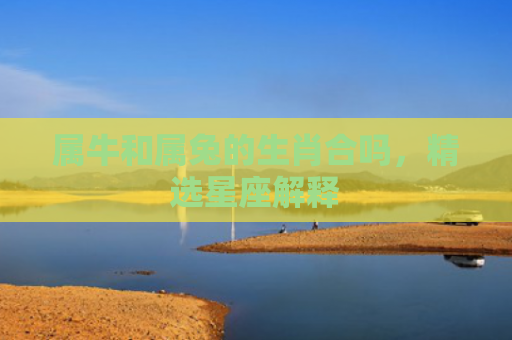 属牛和属兔的生肖合吗，精选星座解释