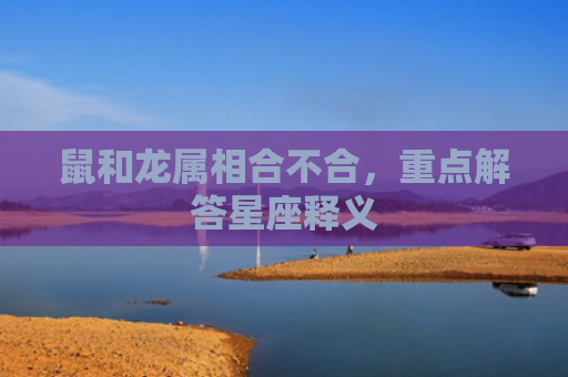 鼠和龙属相合不合，重点解答星座释义