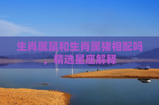 生肖属鼠和生肖属猪相配吗，精选星座解释