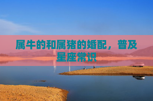 属牛的和属猪的婚配，普及星座常识