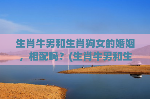 生肖牛男和生肖狗女的婚姻，相配吗？(生肖牛男和生肖狗女配吗)