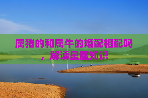 属猪的和属牛的婚配相配吗，解读星座知识