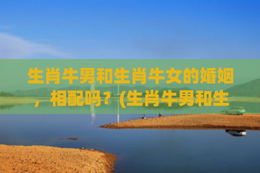 生肖牛男和生肖牛女的婚姻，相配吗？(生肖牛男和生肖牛女婚配能白头到老吗)