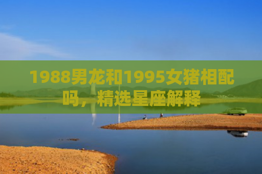 1988男龙和1995女猪相配吗，精选星座解释