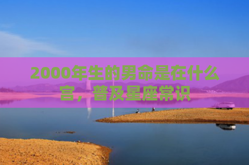 2000年生的男命是在什么宫，普及星座常识