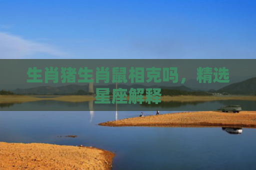 生肖猪生肖鼠相克吗，精选星座解释