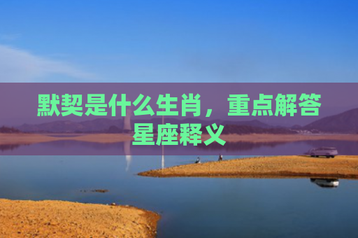 默契是什么生肖，重点解答星座释义
