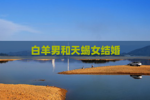白羊男和天蝎女结婚