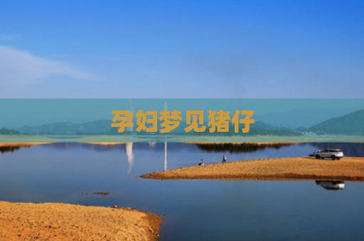 孕妇梦见猪仔