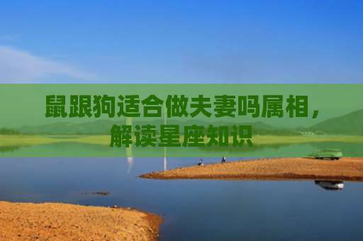 鼠跟狗适合做夫妻吗属相，解读星座知识