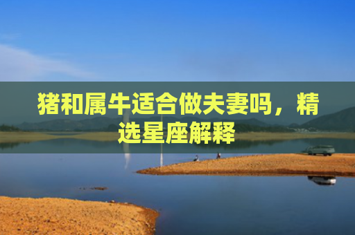 猪和属牛适合做夫妻吗，精选星座解释