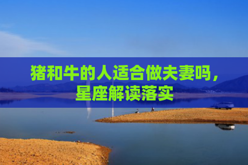 猪和牛的人适合做夫妻吗，星座解读落实