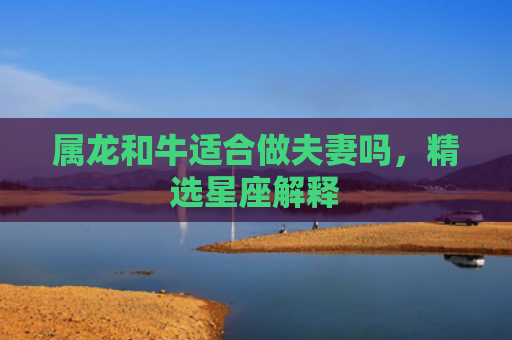 属龙和牛适合做夫妻吗，精选星座解释